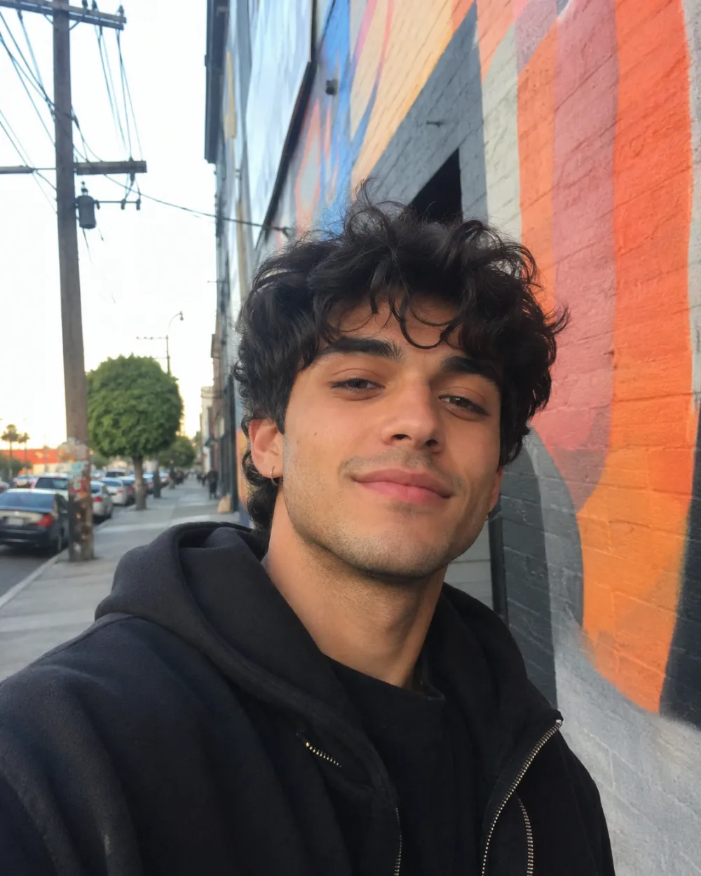 Diego sample 1